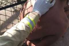 IMG-20260121-WA0334