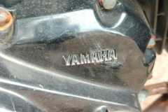 IMG-20250503-WA0174