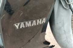 IMG-20250503-WA0175