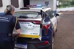 InFrame_1743714556575