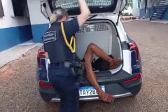 InFrame_1743714893689