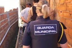 InFrame_1753129103081