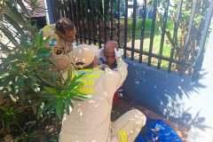 IMG-20250504-WA0166