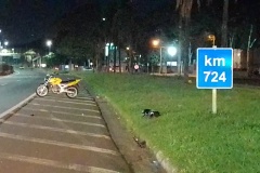 IMG_20251012_000609