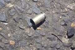 IMG-20250907-WA0230