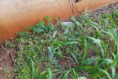IMG-20250402-WA0044