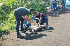 IMG_20260331_110552