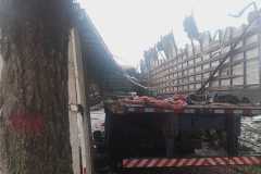 IMG-20260710-WA0085