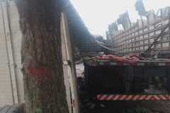 IMG-20260710-WA0086