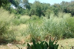 IMG_20250121_143359