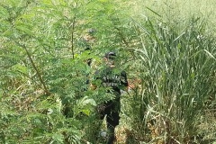 IMG_20250121_143419