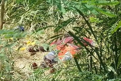 IMG_20250121_143507_1