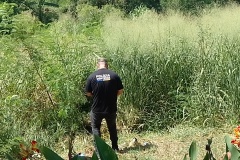 IMG_20250121_144852
