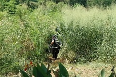 IMG_20250121_144914