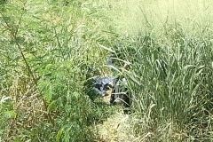 IMG_20250121_144952