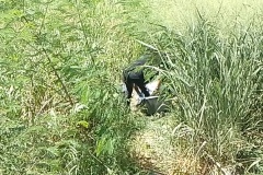IMG_20250121_145032
