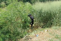 IMG_20250121_145125