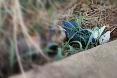 InFrame_1770688990415