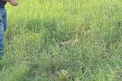 IMG_20250402_174921