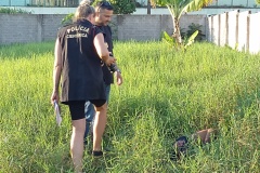 IMG_20250402_175012