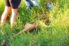 IMG_20250402_175327