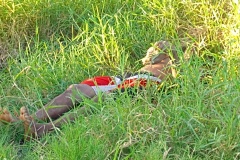 IMG_20250402_175453