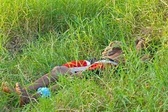 IMG_20250402_175551