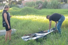 IMG_20250402_175942