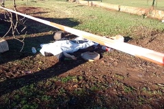 IMG_20250730_084252