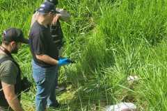 IMG-20260115-WA0131