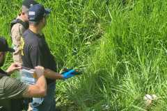 IMG-20260115-WA0132