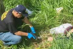 IMG-20260115-WA0133
