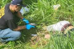 IMG-20260115-WA0135