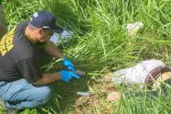 IMG-20260115-WA0136
