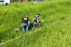 IMG_20260115_094546