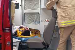 IMG-20250416-WA0074