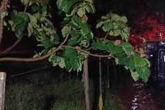 IMG-20250922-WA0033