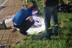 IMG-20260403-WA0063