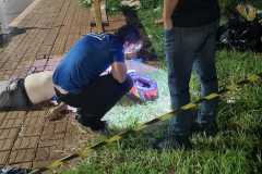 IMG-20260403-WA0065
