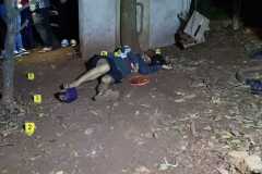 IMG-20251109-WA0028