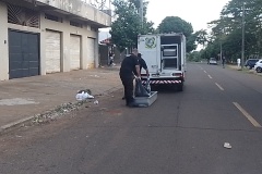 IMG_20250418_174832_1