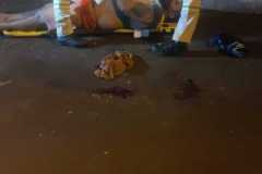 IMG-20251106-WA0375