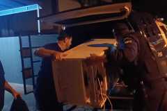 IMG-20250805-WA0025