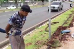 InFrame_1764730447964