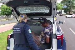 InFrame_1764730522748