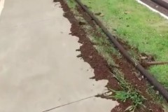 InFrame_1764730608574