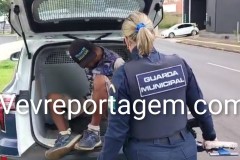 InFrame_1764730772974