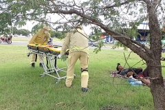 IMG_20250329_155513