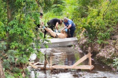 IMG_20260814_142012_1