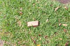 IMG-20260215-WA0009